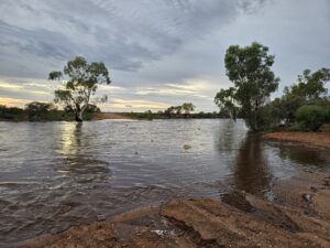 pilbara ecology review spectrum