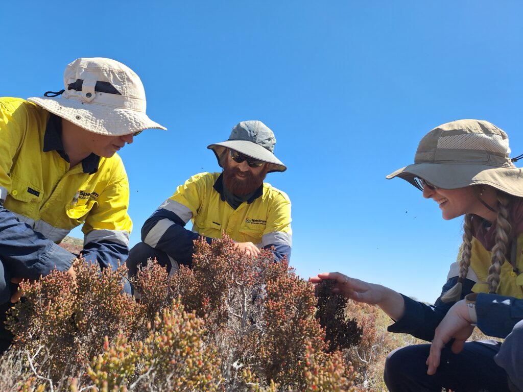 spectrum ecology biodiversity assessment