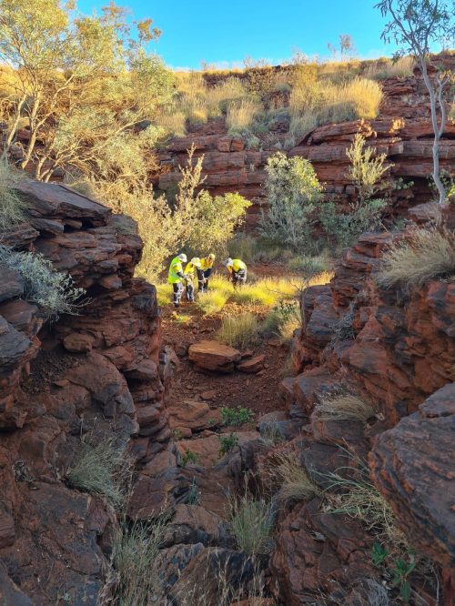 priority-flora-western-australia