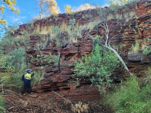 spectrum ecology pilbara field